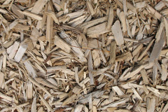biomass boilers Bhaltos